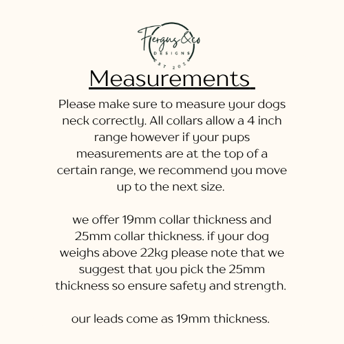 Basics Collars