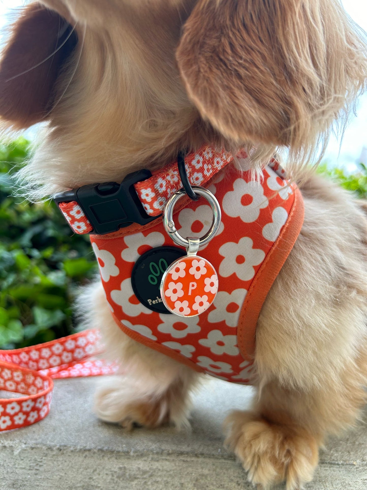Personalised tags