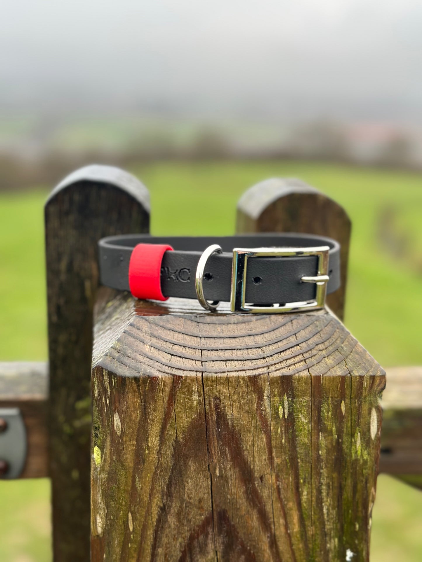 Basics Collars