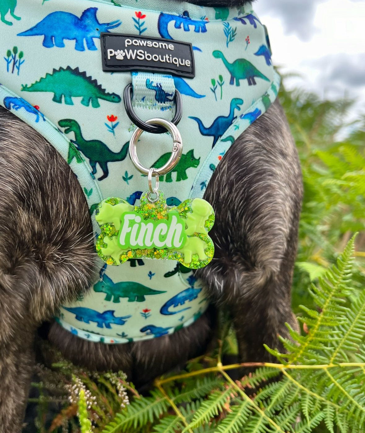 Personalised tags