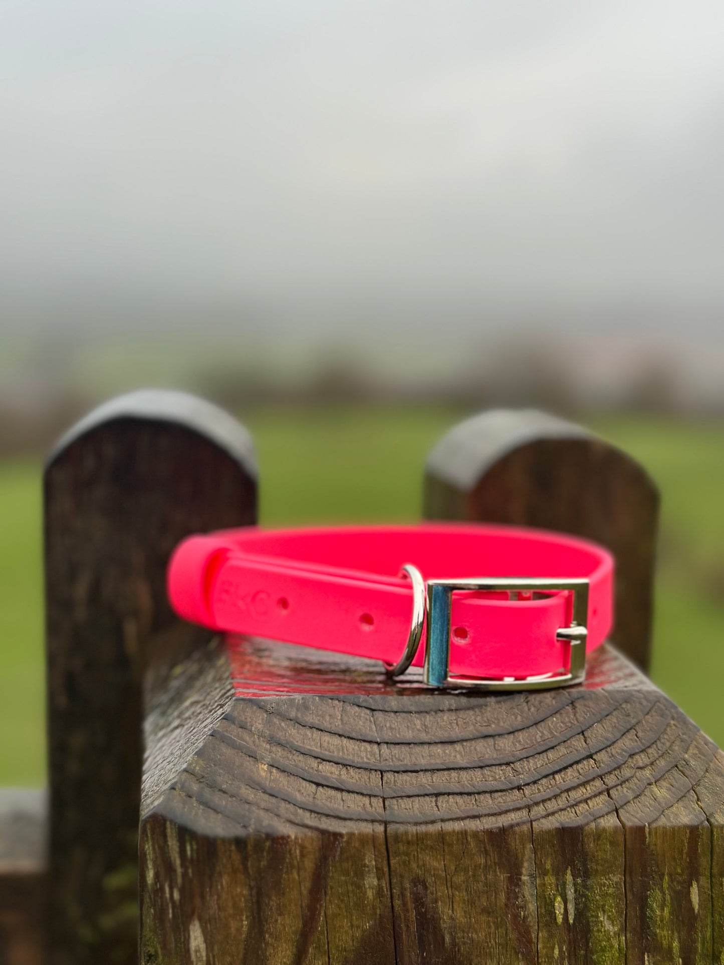 Basics Collars