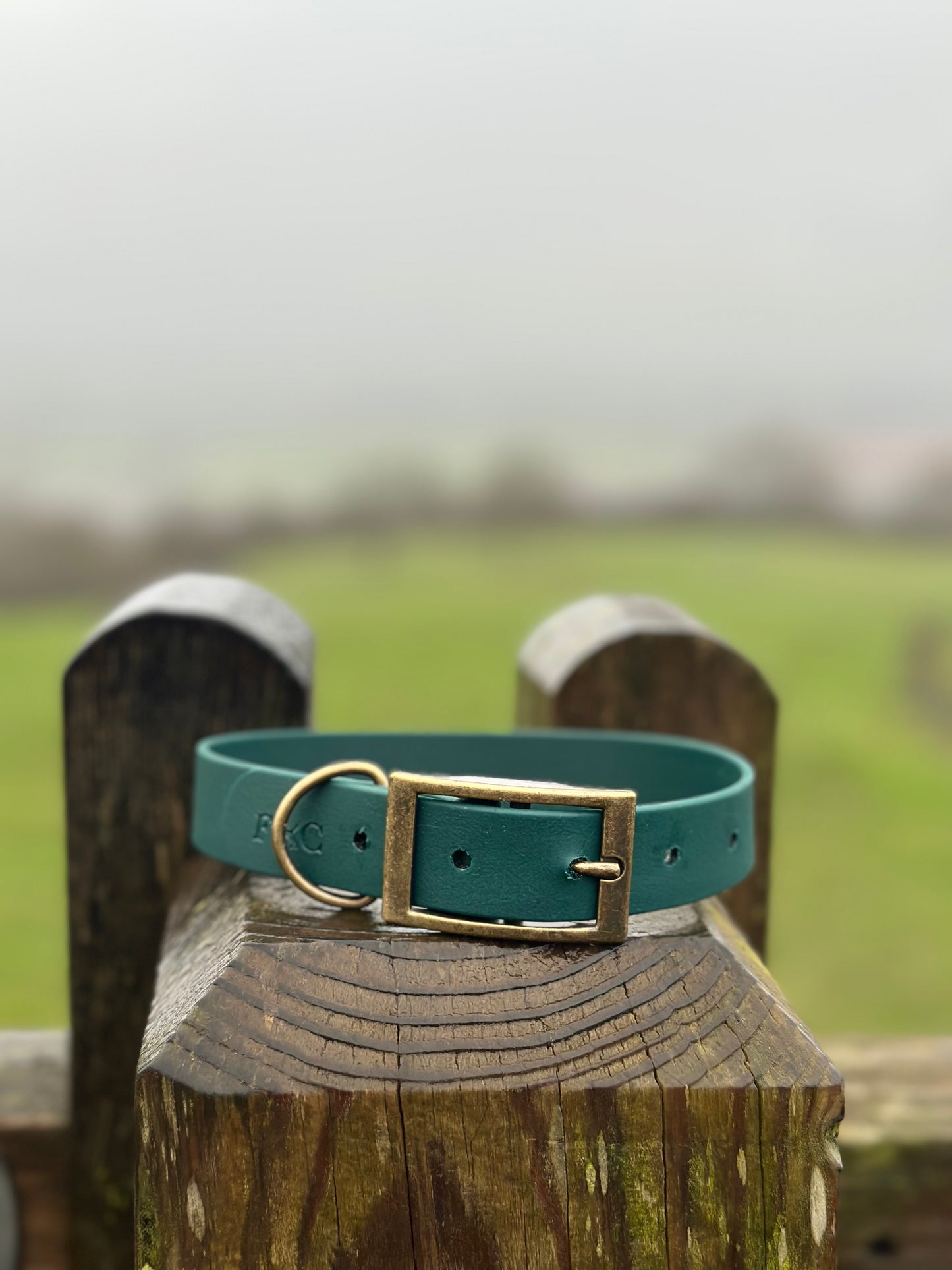 Basics Collars
