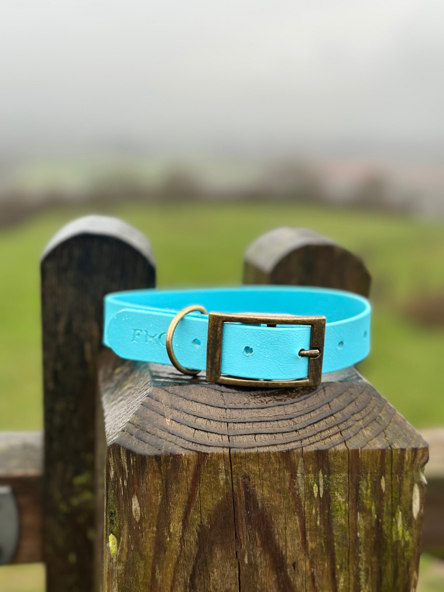 Basics Collars