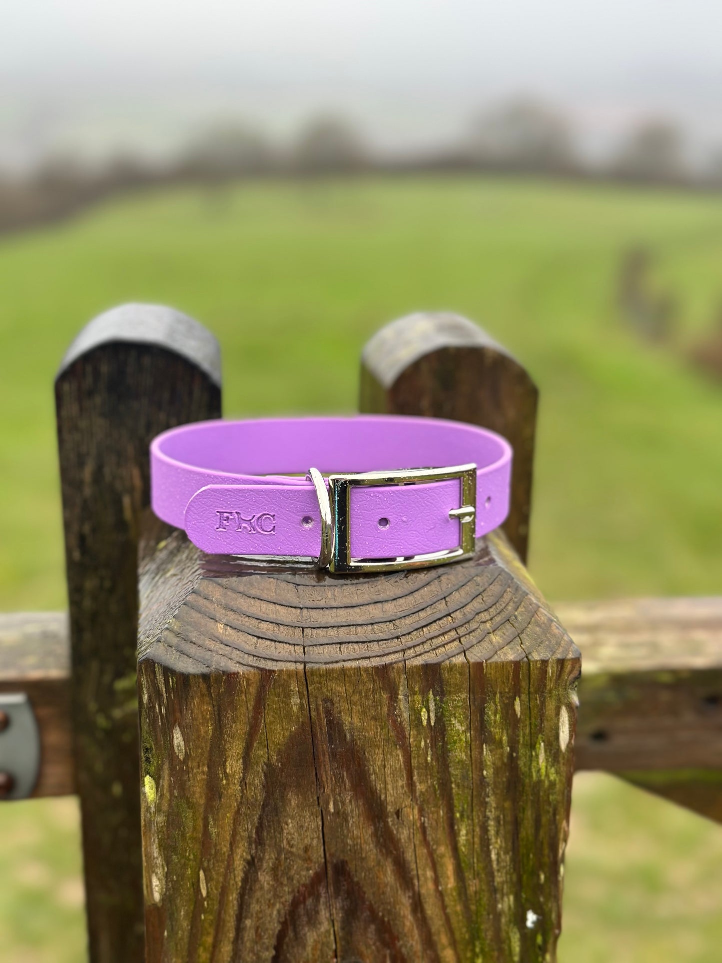 Basics Collars