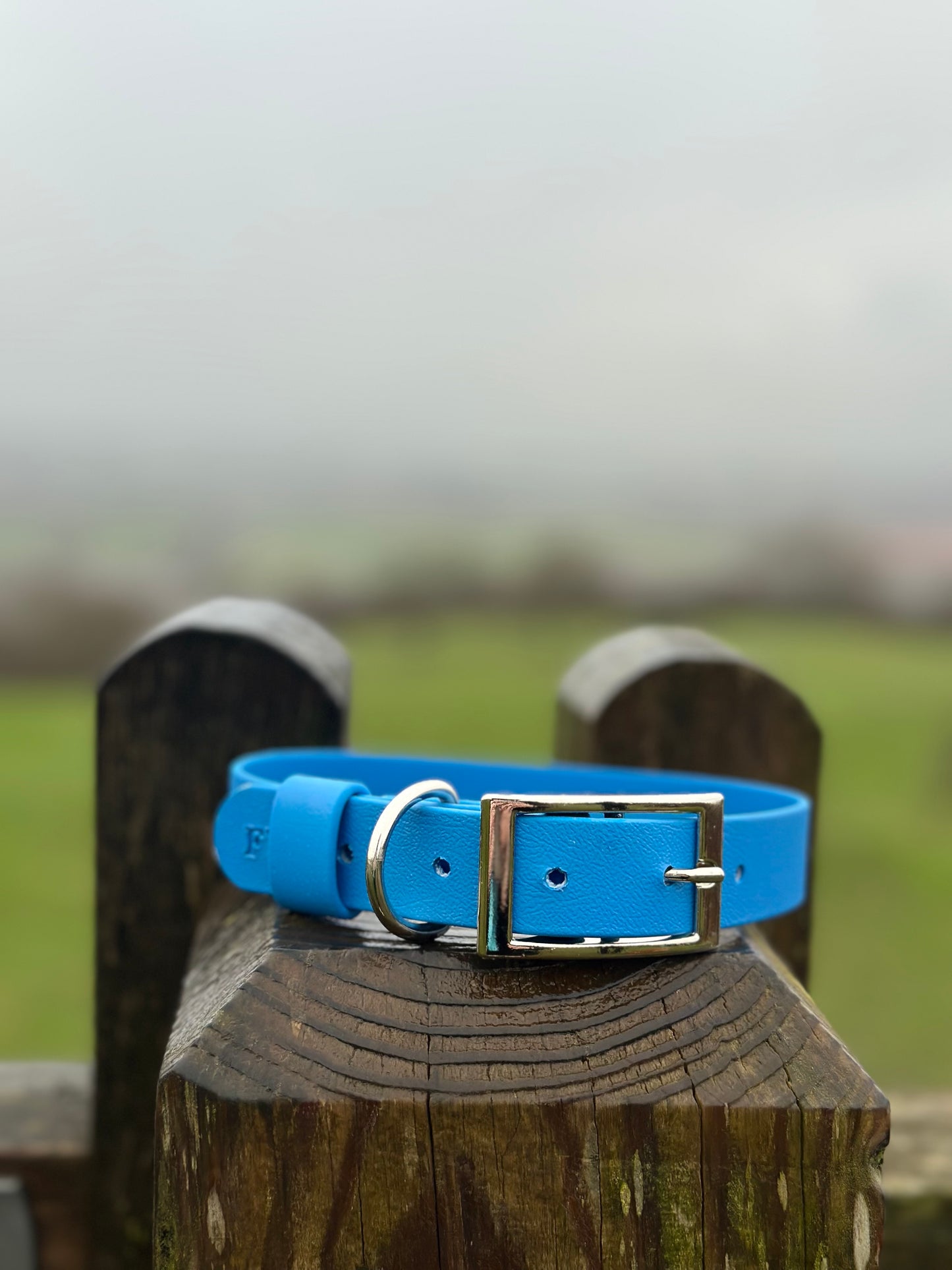 Basics Collars