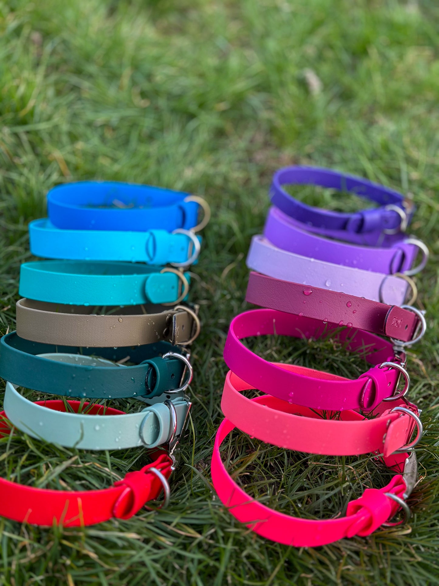 Basics Collars