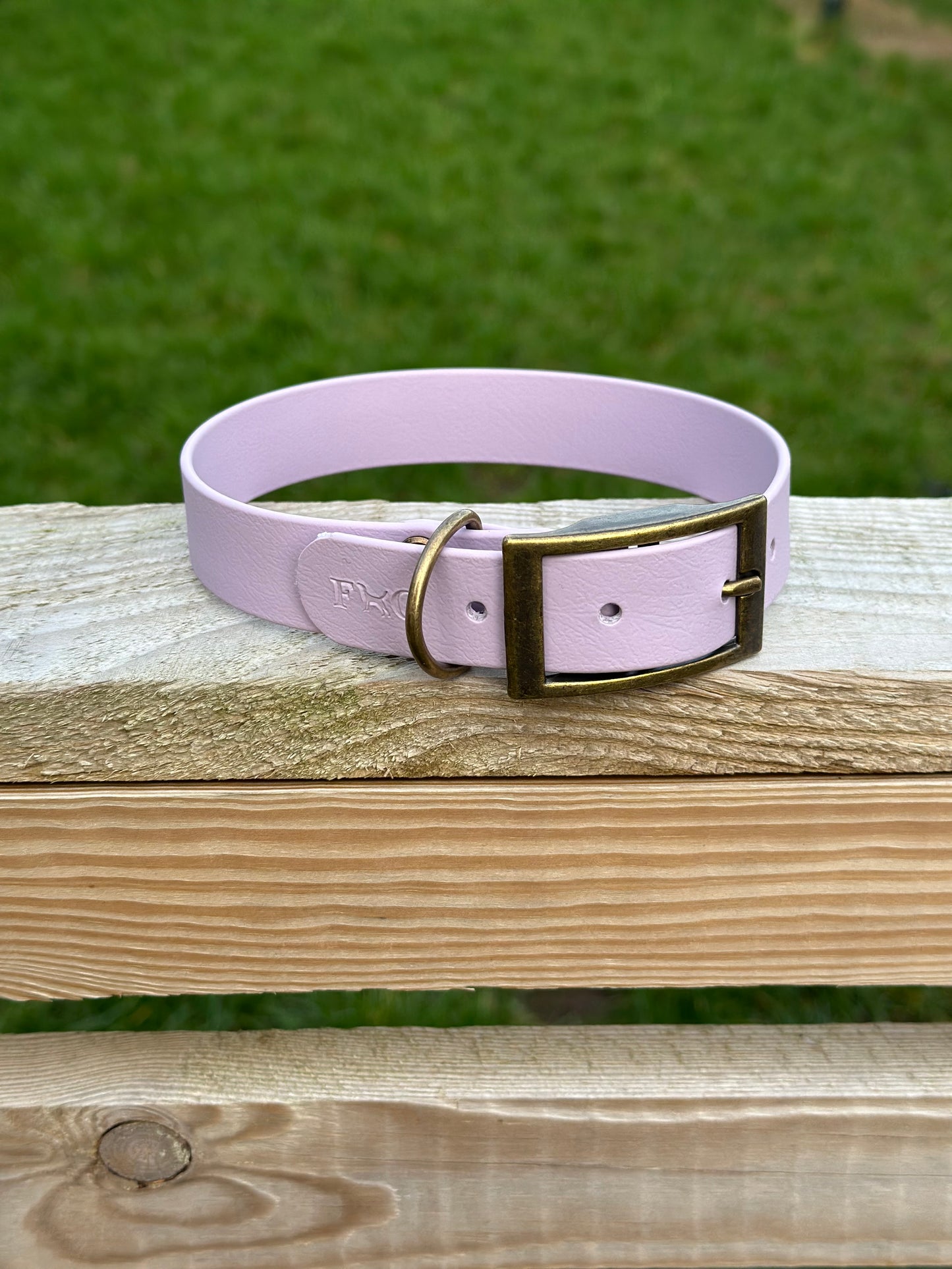 Basics Collars