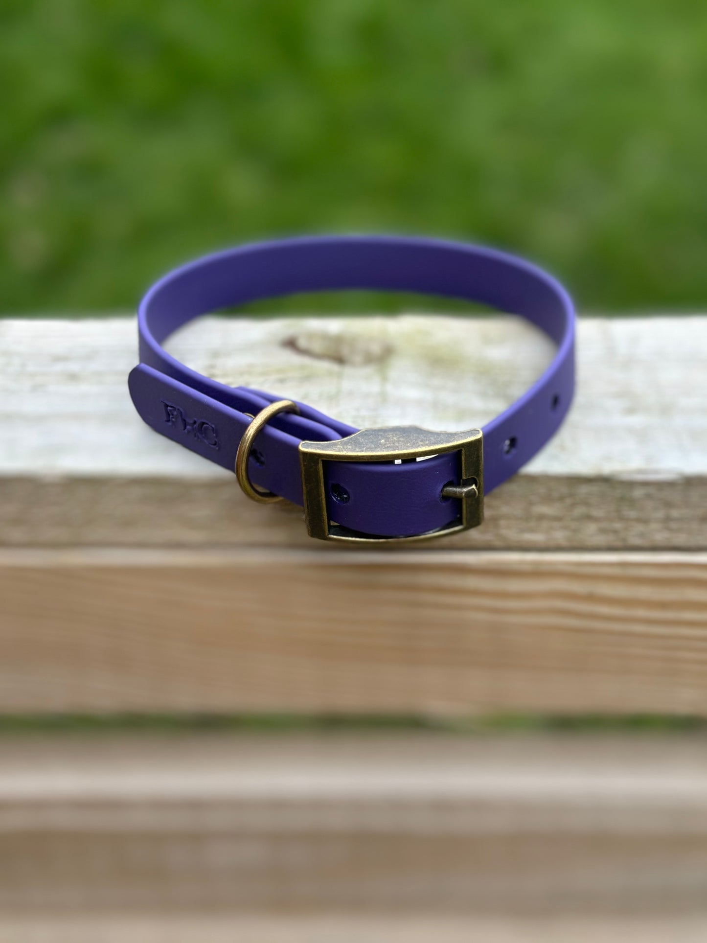Basics Collars