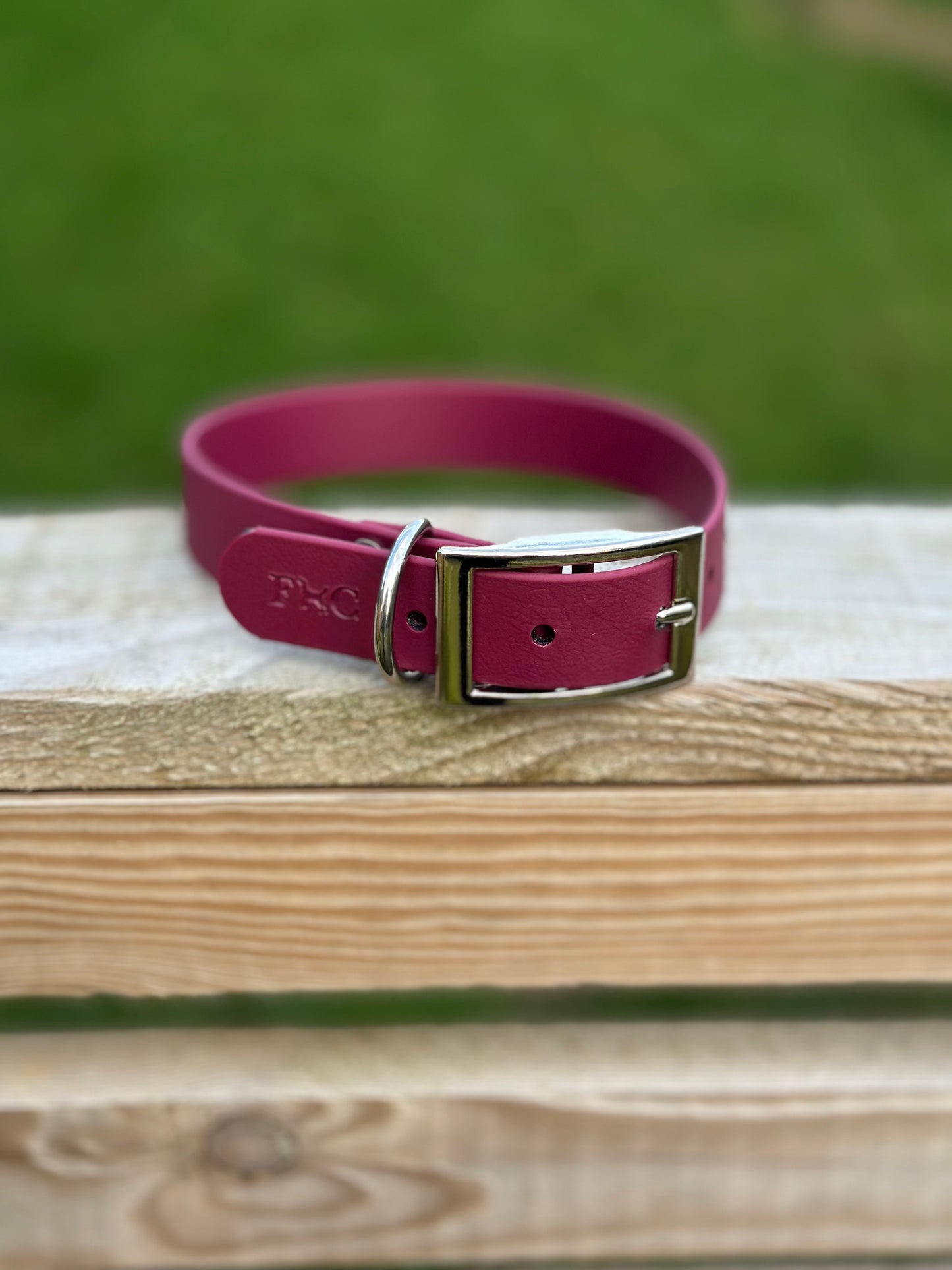 Basics Collars
