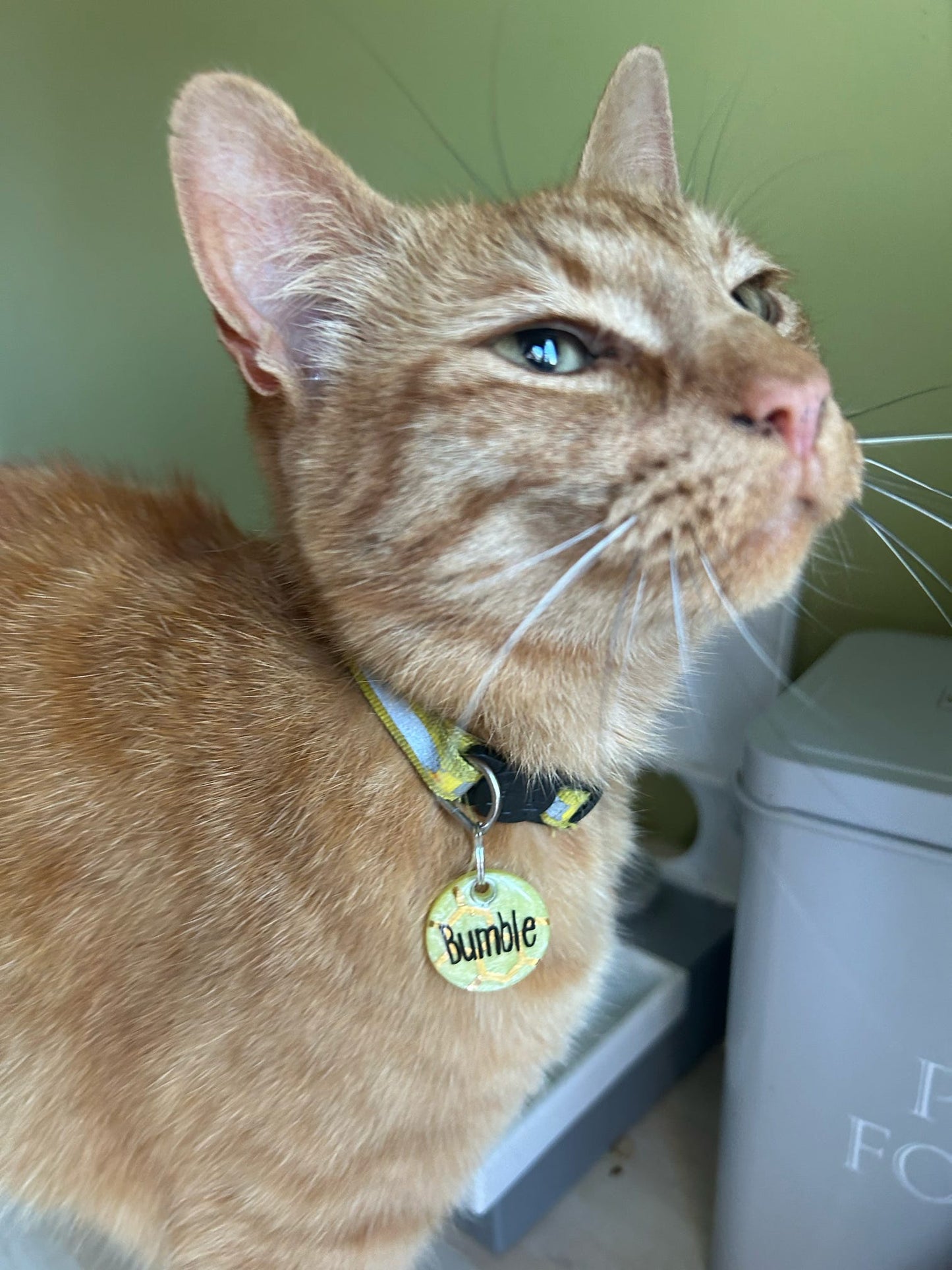 Personalised tags