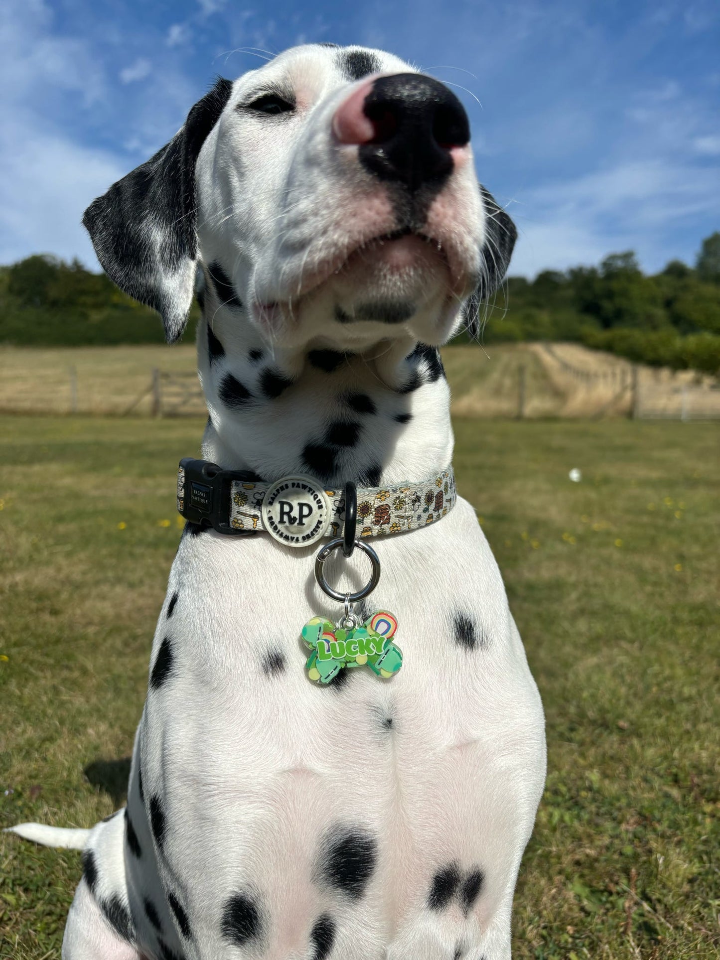 Personalised tags