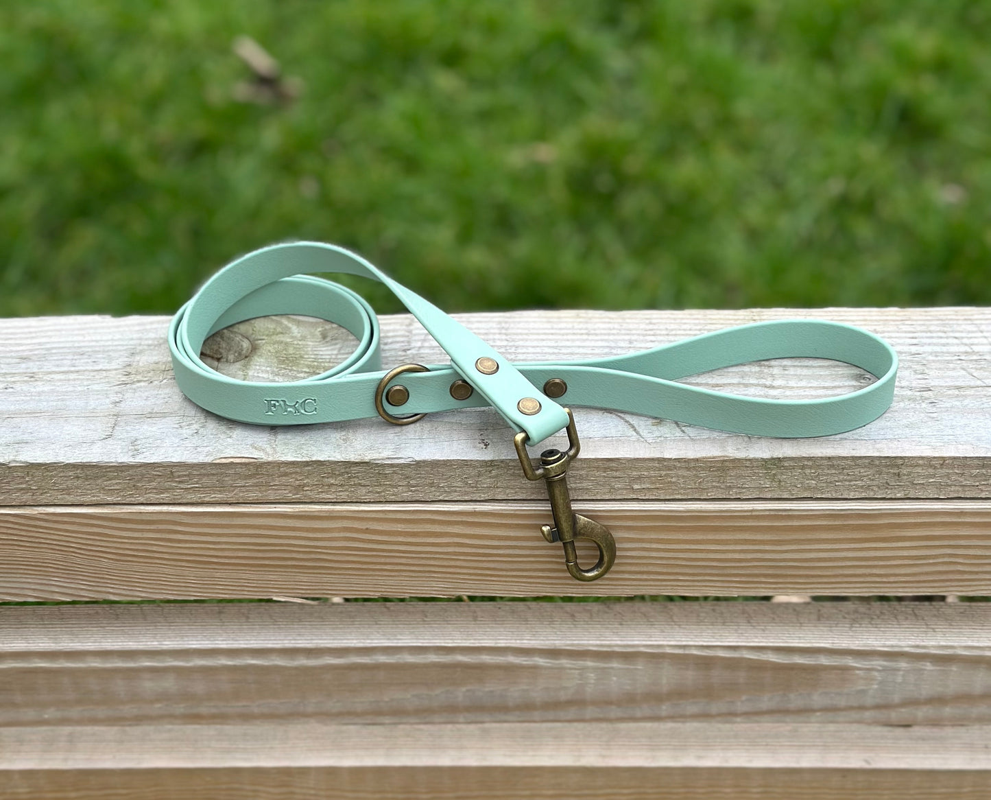 Basics Leads