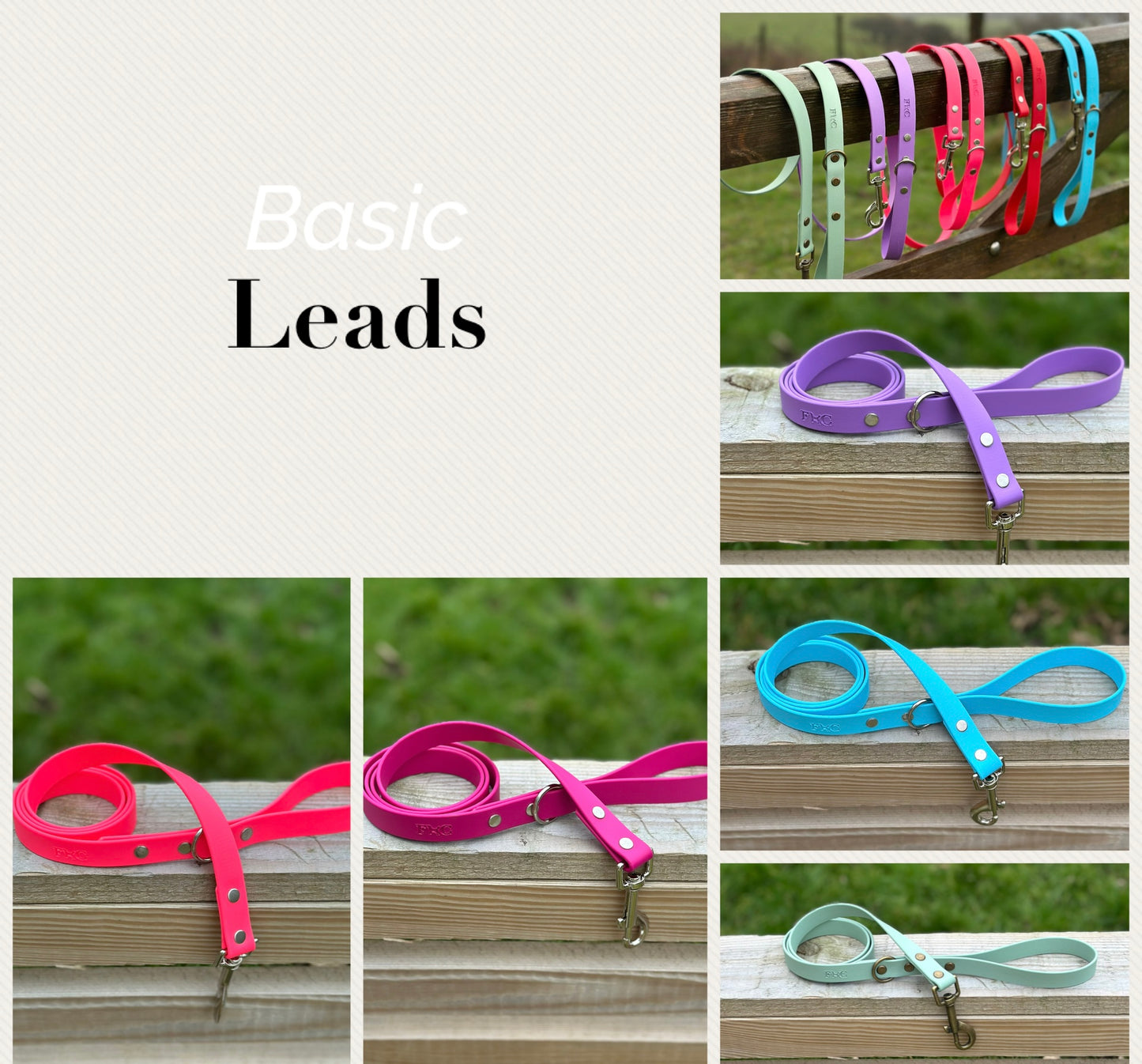 Basics Leads