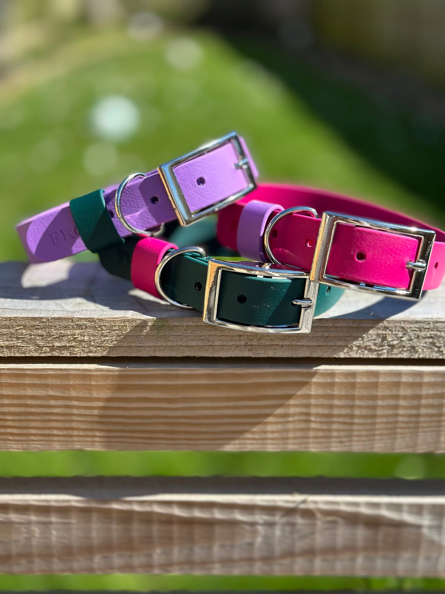 Basics Collars