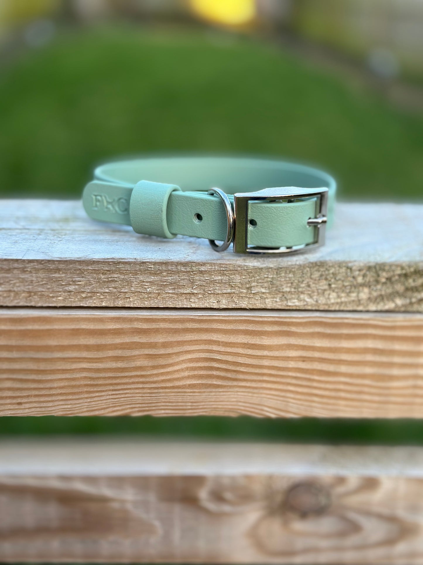 Basics Collars