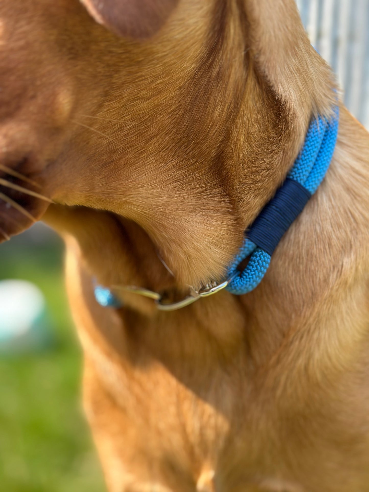 Double Layer Rope Collar