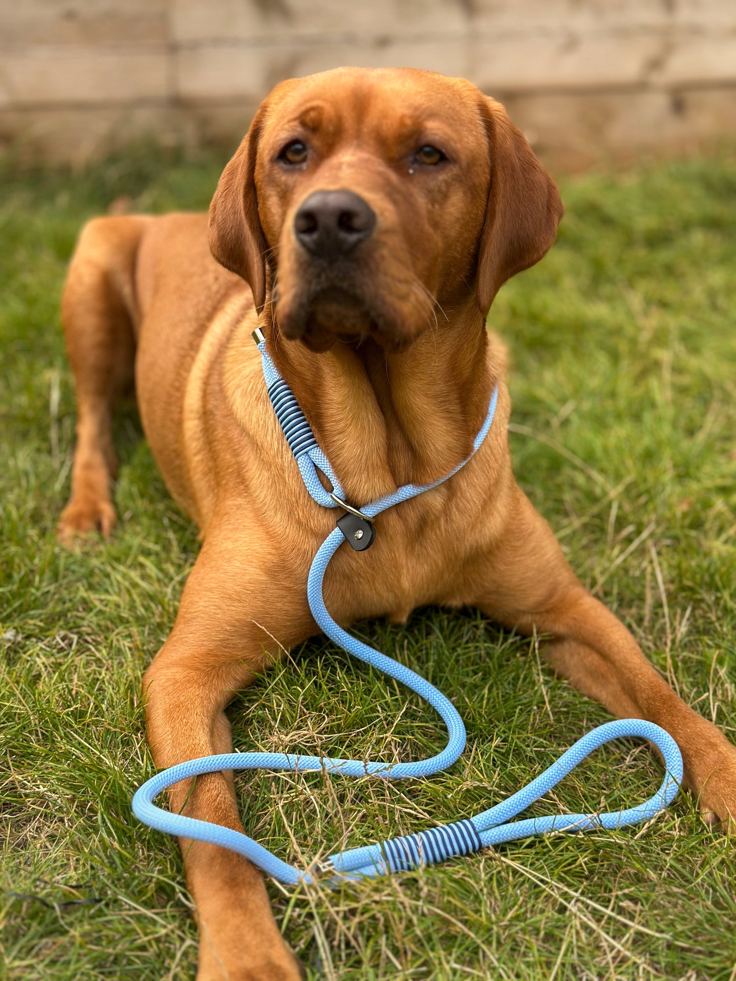 Slip Leads