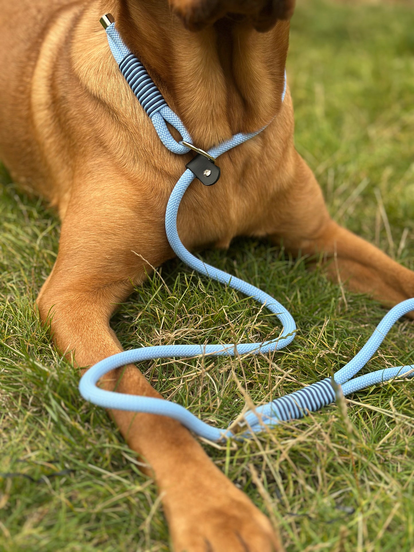 Slip Leads