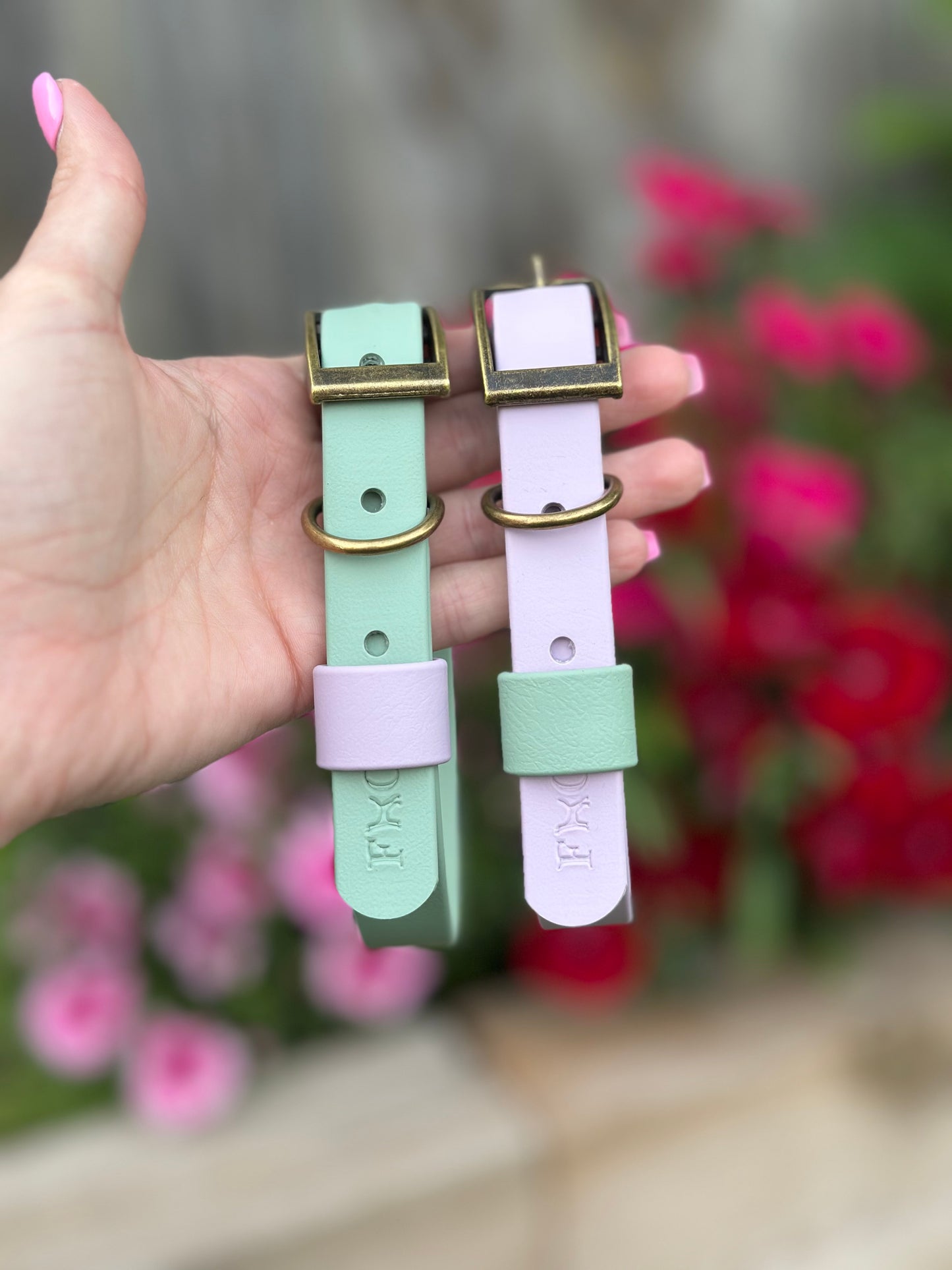 Basics Collars