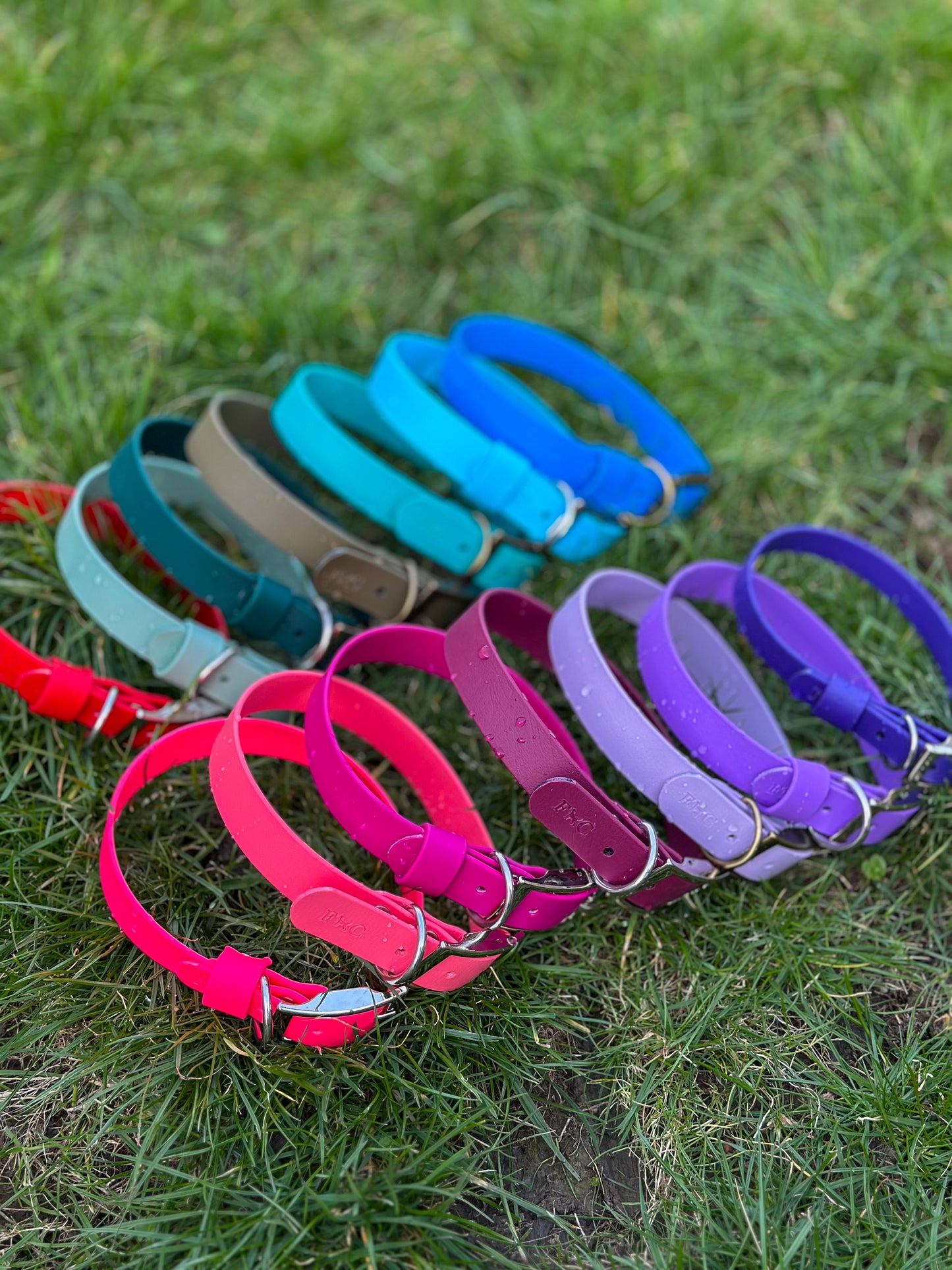 Basics Collars