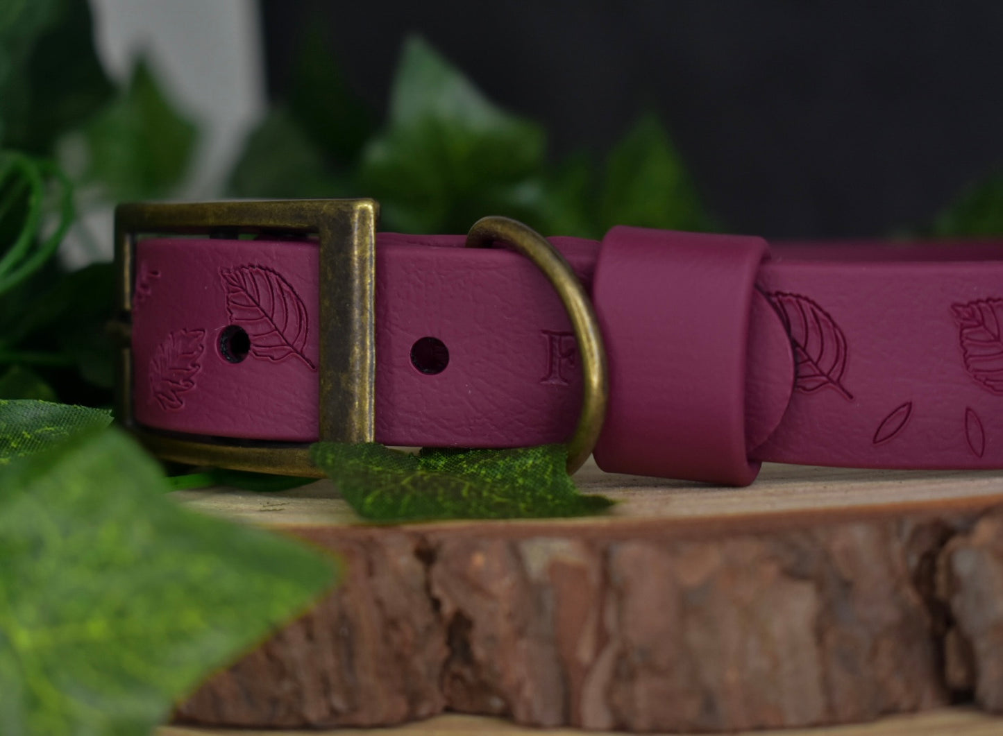 Enchanted Woodland Embossed Collar 🍂