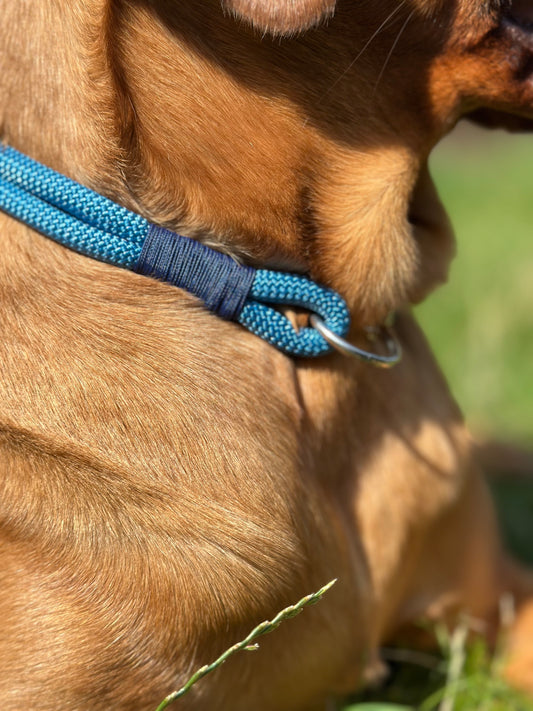 Double Layer Rope Collar